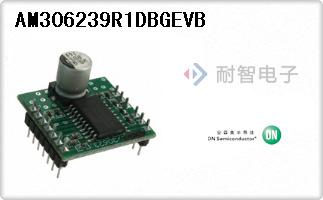 AM306239R1DBGEVB