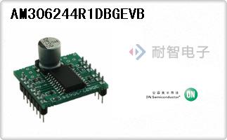AM306244R1DBGEVB