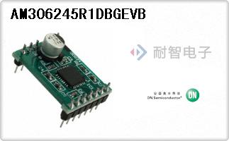 AM306245R1DBGEVB