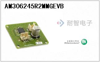 AM306245R2MMGEVB
