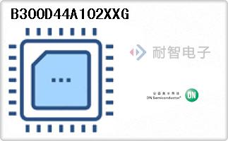B300D44A102XXG