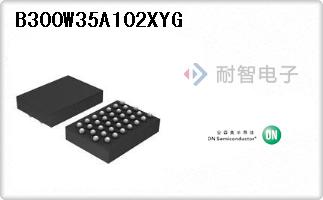 B300W35A102XYG