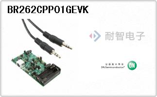 BR262CPP01GEVK