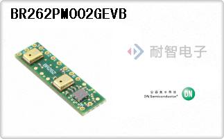 BR262PM002GEVB