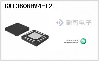 CAT3606HV4-T2