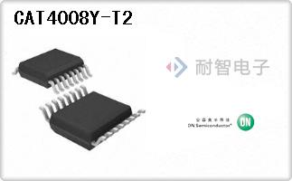 CAT4008Y-T2