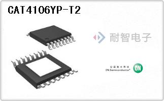 CAT4106YP-T2