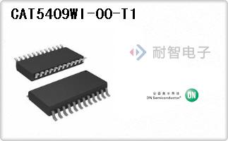 CAT5409WI-00-T1