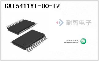 CAT5411YI-00-T2