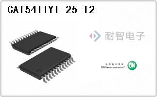CAT5411YI-25-T2