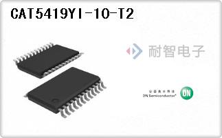CAT5419YI-10-T2