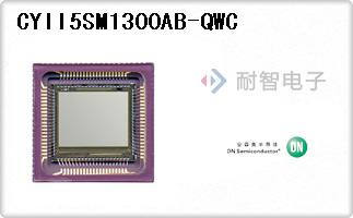 CYII5SM1300AB-QWC
