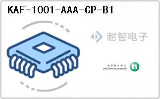 KAF-1001-AAA-CP-B1