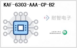 KAF-6303-AAA-CP-B2