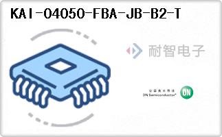 KAI-04050-FBA-JB-B2-T