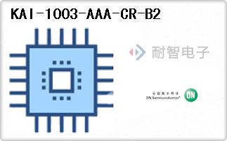 KAI-1003-AAA-CR-B2