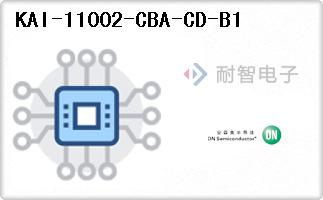 KAI-11002-CBA-CD-B1
