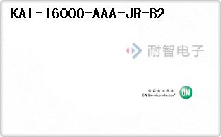 KAI-16000-AAA-JR-B2