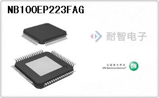 NB100EP223FAG