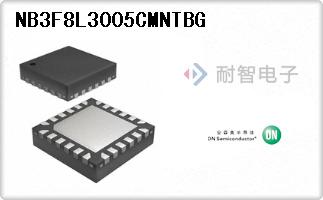 NB3F8L3005CMNTBG