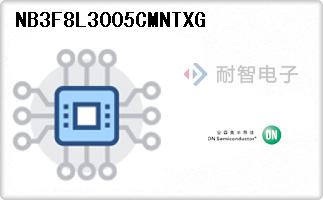NB3F8L3005CMNTXG