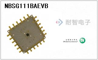 NBSG111BAEVB