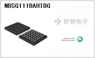 NBSG111BAHTBG