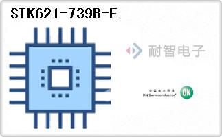 STK621-739B-E