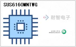 SUS6160MNTWG