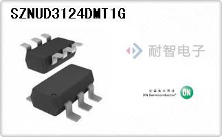 SZNUD3124DMT1G