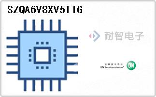 SZQA6V8XV5T1G
