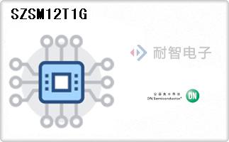SZSM12T1G