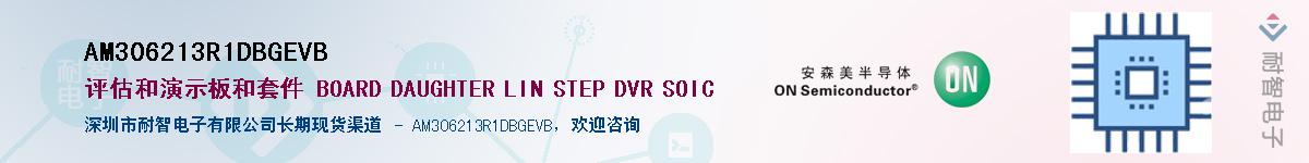 AM306213R1DBGEVBӦ-ǵ