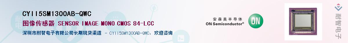 CYII5SM1300AB-QWC��Ӧ��-���ǵ���