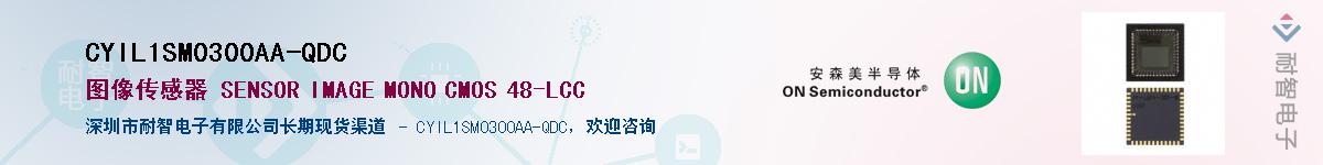 CYIL1SM0300AA-QDCӦ-ǵ