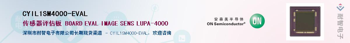 CYIL1SM4000-EVALӦ-ǵ