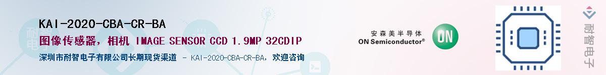 KAI-2020-CBA-CR-BA��Ӧ��-���ǵ���