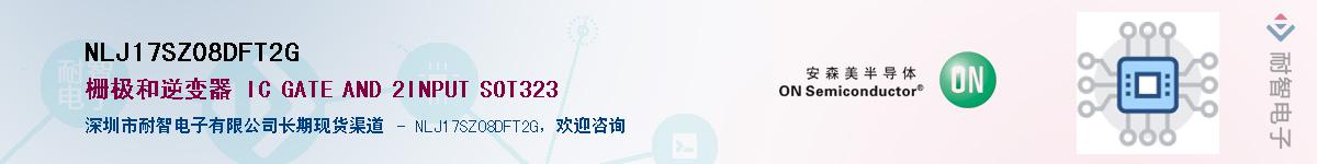 NLJ17SZ08DFT2GӦ-ǵ