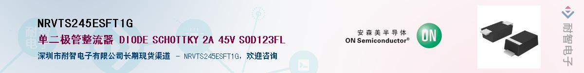 NRVTS245ESFT1GӦ-ǵ