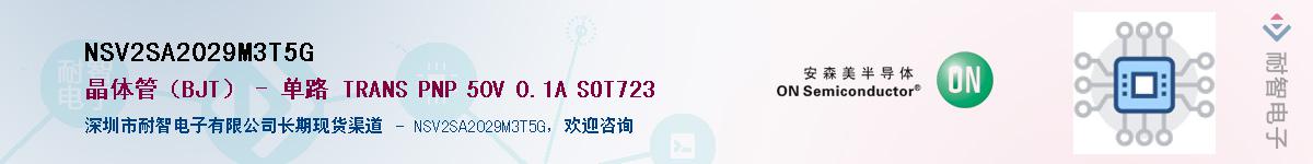 NSV2SA2029M3T5GӦ-ǵ