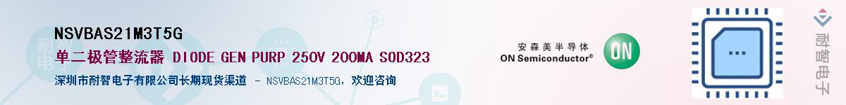 NSVBAS21M3T5GӦ-ǵ