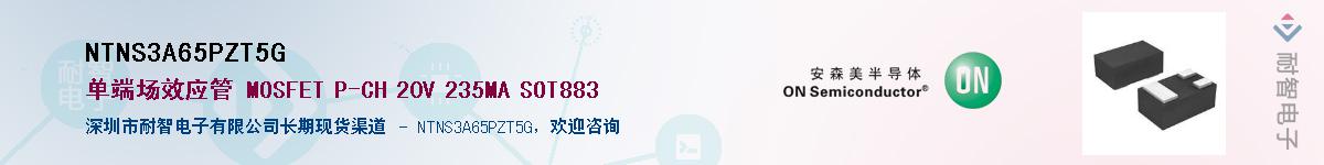 NTNS3A65PZT5G��Ӧ��-���ǵ���
