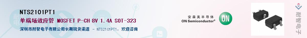 NTS2101PT1��Ӧ��-���ǵ���
