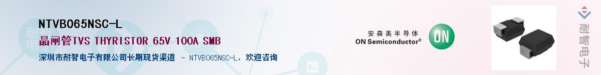NTVB065NSC-L��Ӧ��-���ǵ���