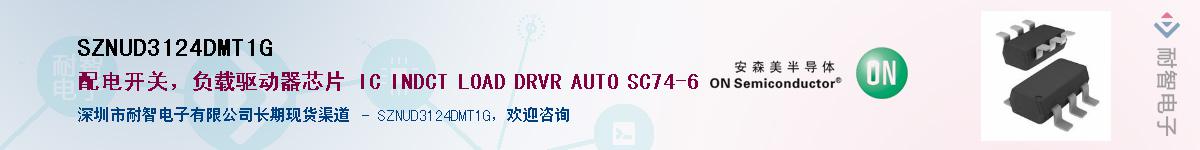 SZNUD3124DMT1GӦ-ǵ