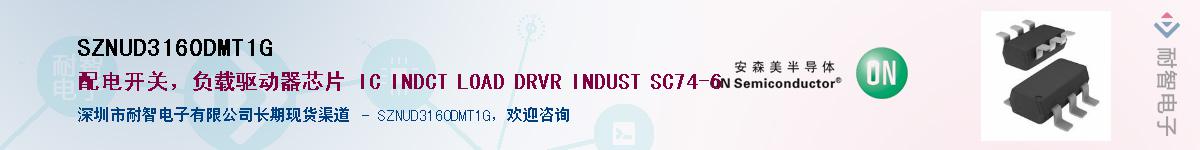 SZNUD3160DMT1GӦ-ǵ