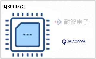 QSC6075