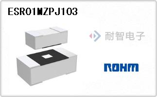 ESR01MZPJ103