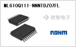 ML610Q111-NNNTDZ07FL