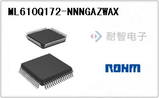 ML610Q172-NNNGAZWAX